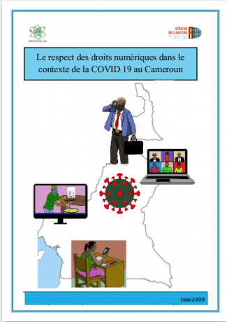 Le Respect Des Droits Numeriques Dans Le Contexte De La Covid 19 Au Cameroun African Declaration On Internet Rights And Freedoms